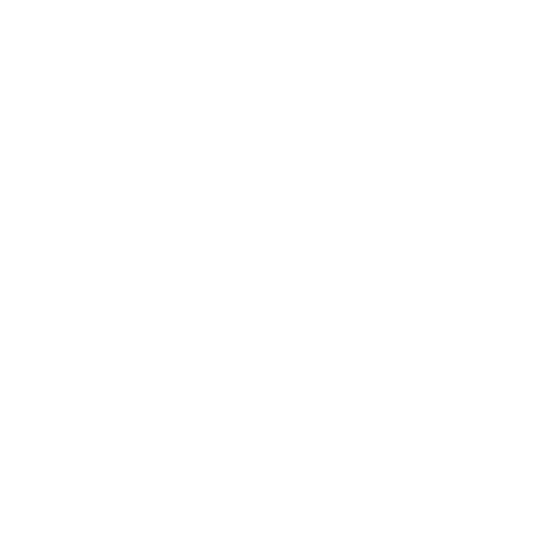 Alca Srl